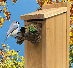 natural bird gaurdian